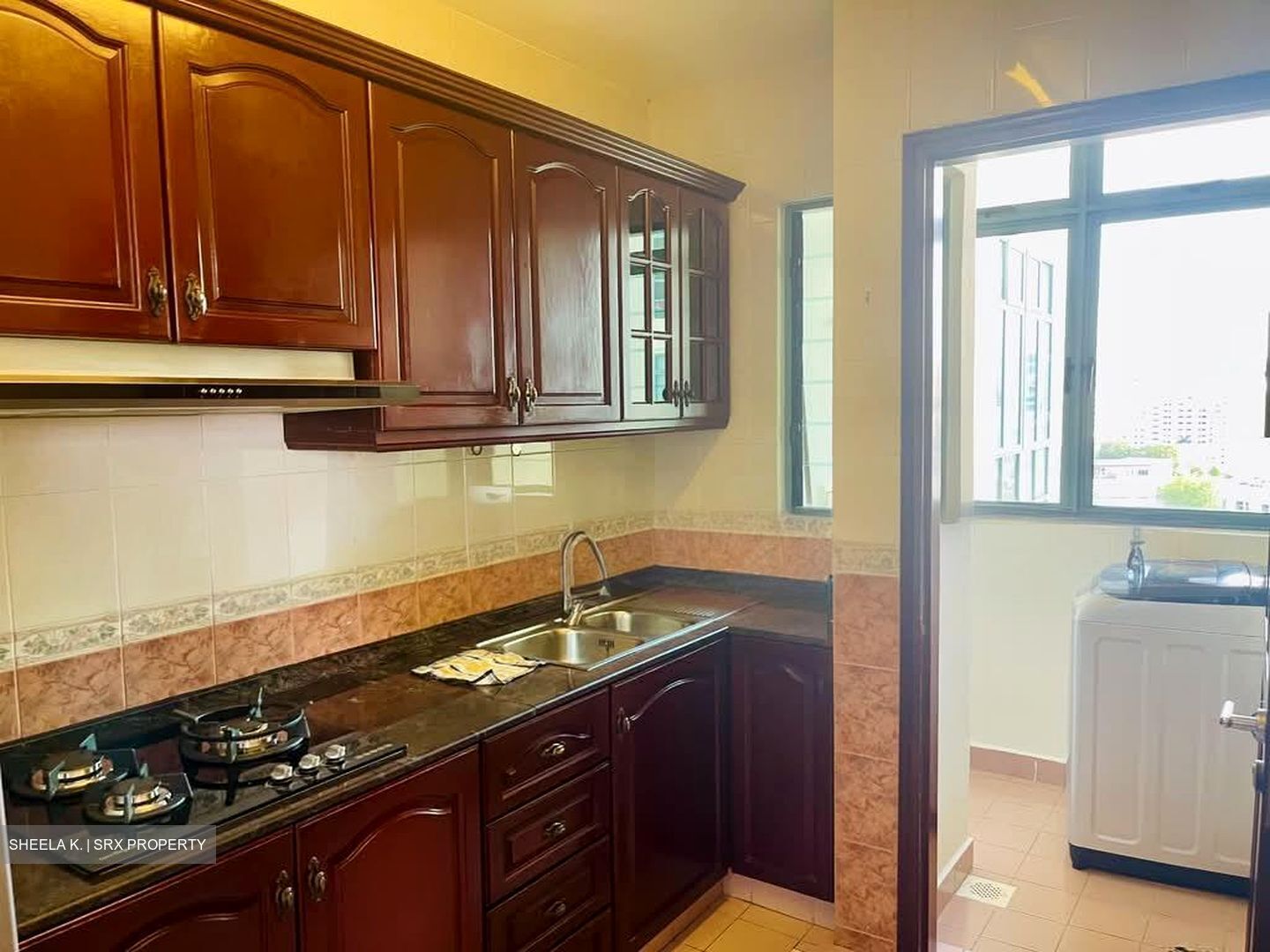 Tanglin Regency (D10), Condominium #534181461